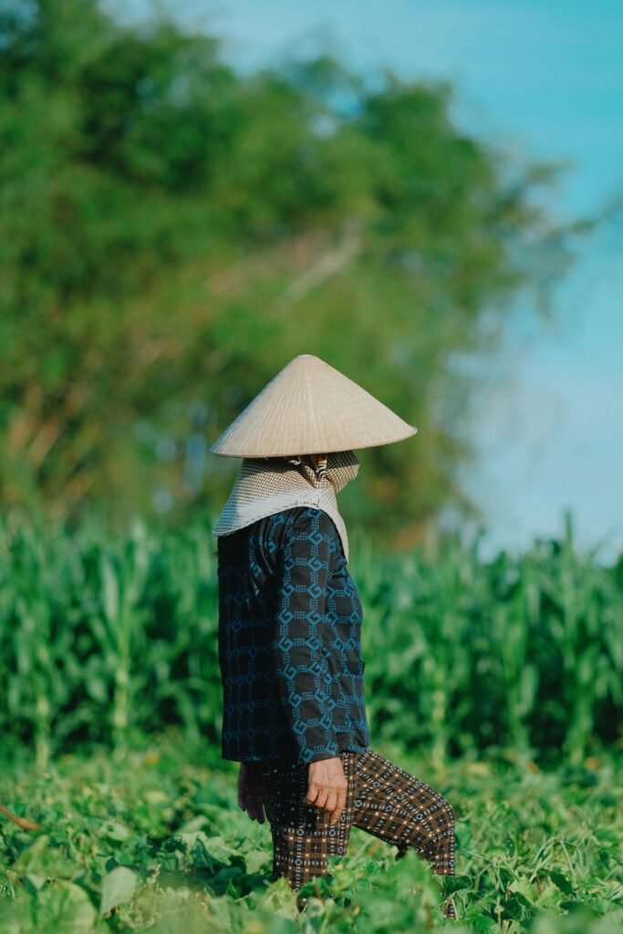 A farmer wearing traditional Vietnamese hat and jacket in a lush green field.