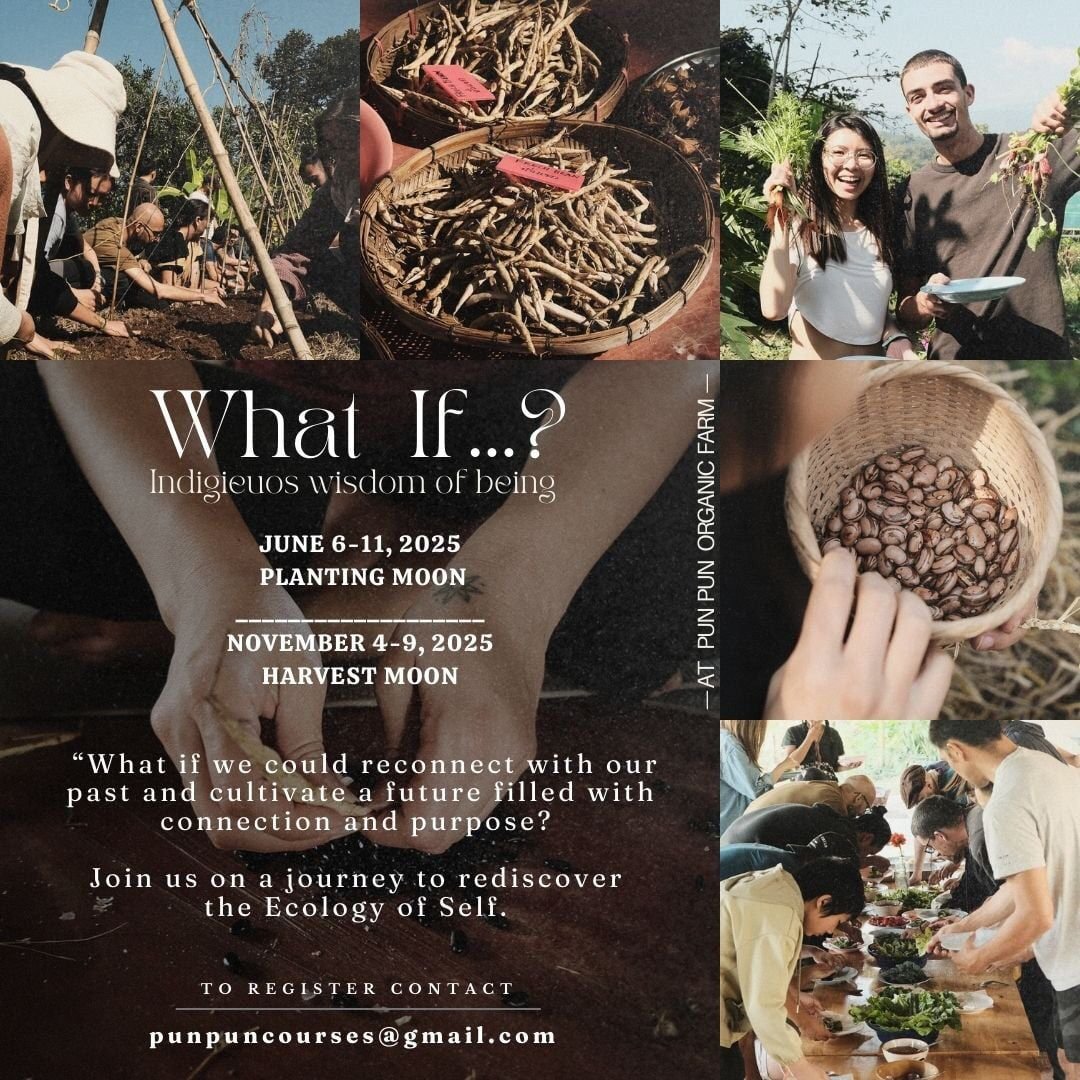 Indigenous wisdom retreat – WHAT IF …?
