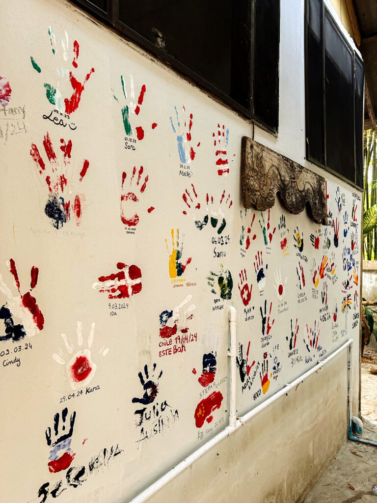 Looking for meaningful volunteer opportunities in Thailand? Join NomadTurtle Chiangmai for a unique co-living experience where you support local communities, teach kids, and preserve cultural heritage — all while living mindfully in nature.