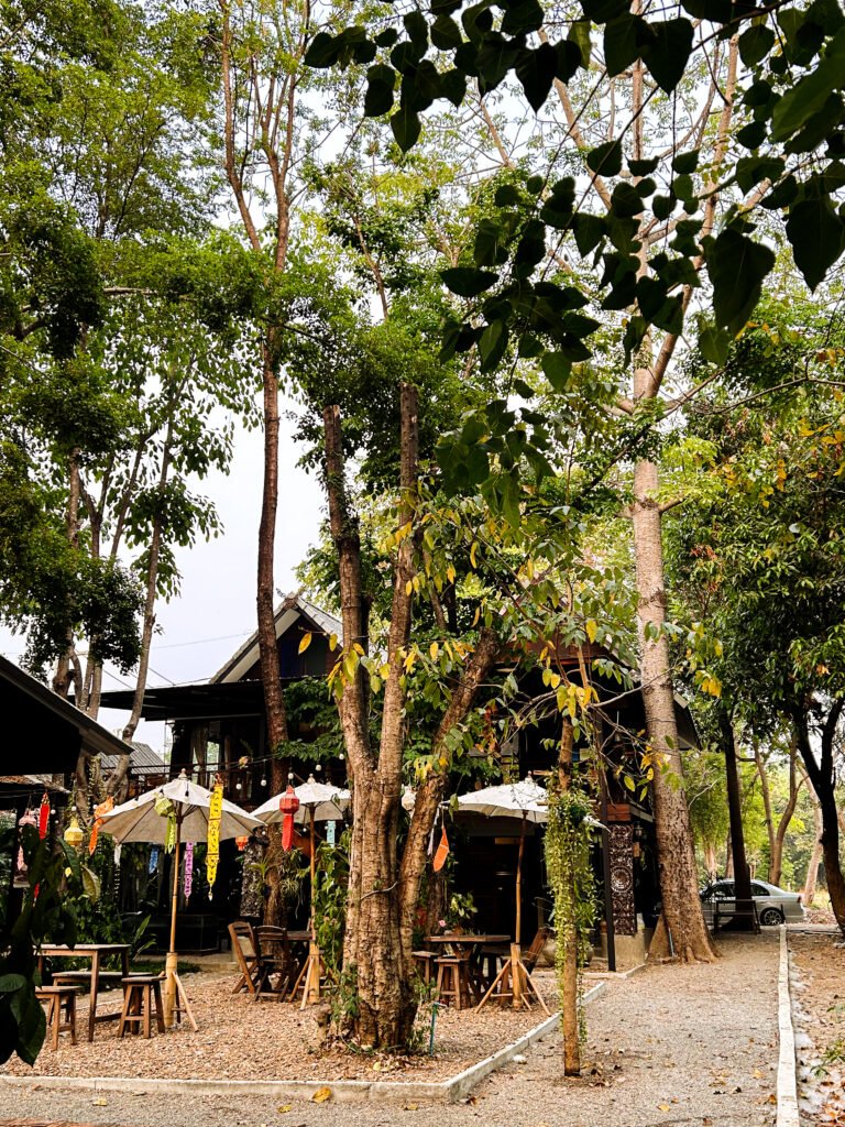 Volunteering Chiangmai
